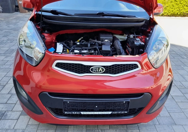 Kia Picanto cena 21900 przebieg: 44000, rok produkcji 2011 z Jarocin małe 172